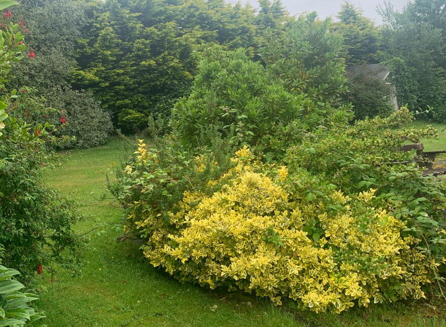 7 Birchfield, Loreto Road, Killarney, V93EPK6