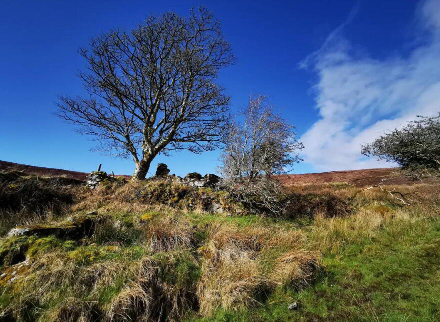 Glendubh, Foxford
