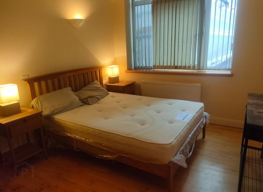 101 Somerset Studios, Marcus Ward Street, Dublin Road, Belfast, BT7 1RP