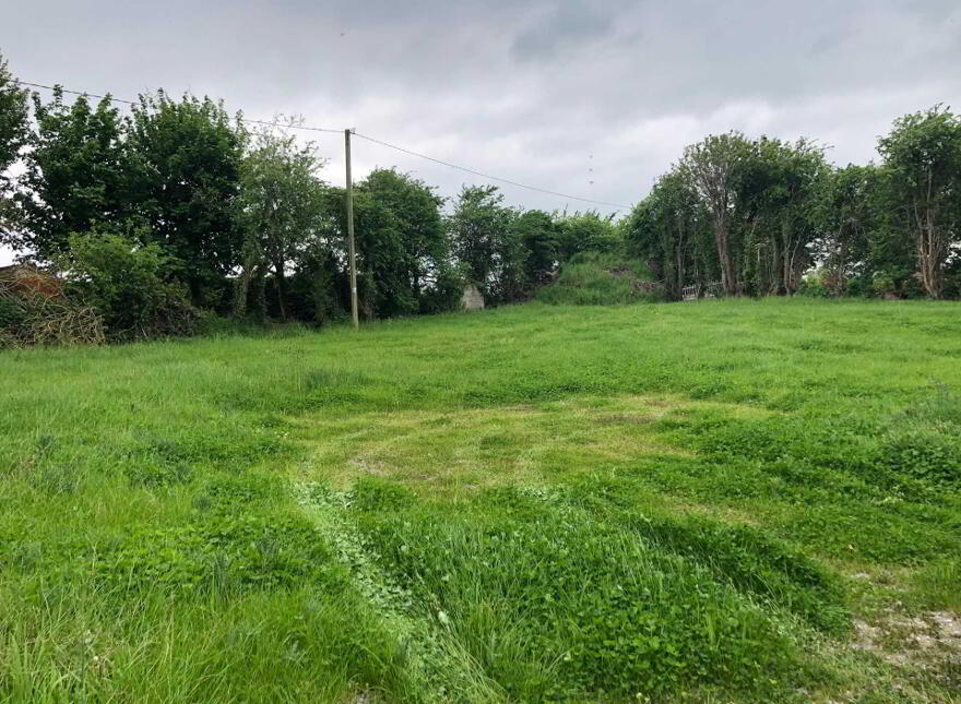 Lurriga, Patrickswell