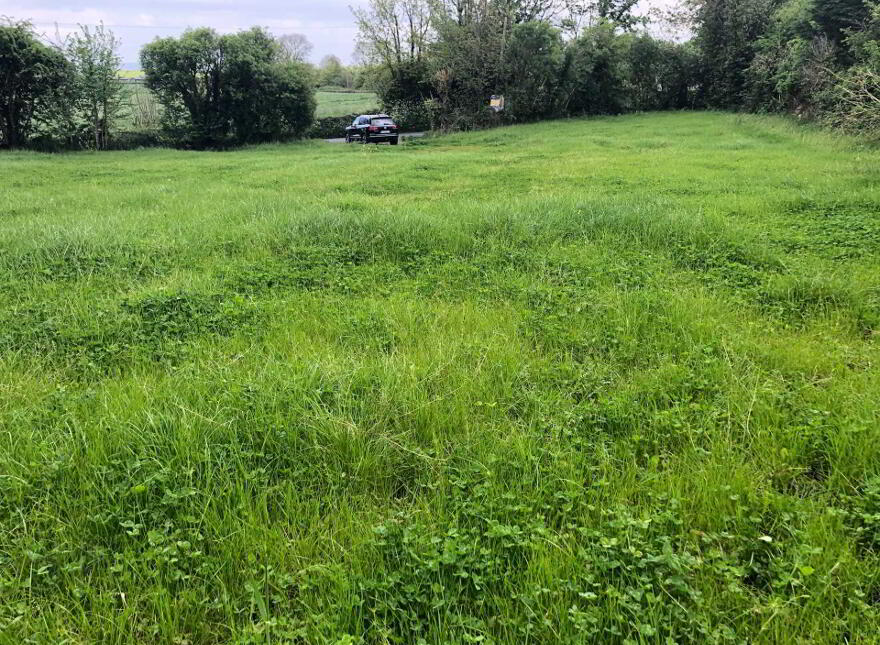 Lurriga, Patrickswell