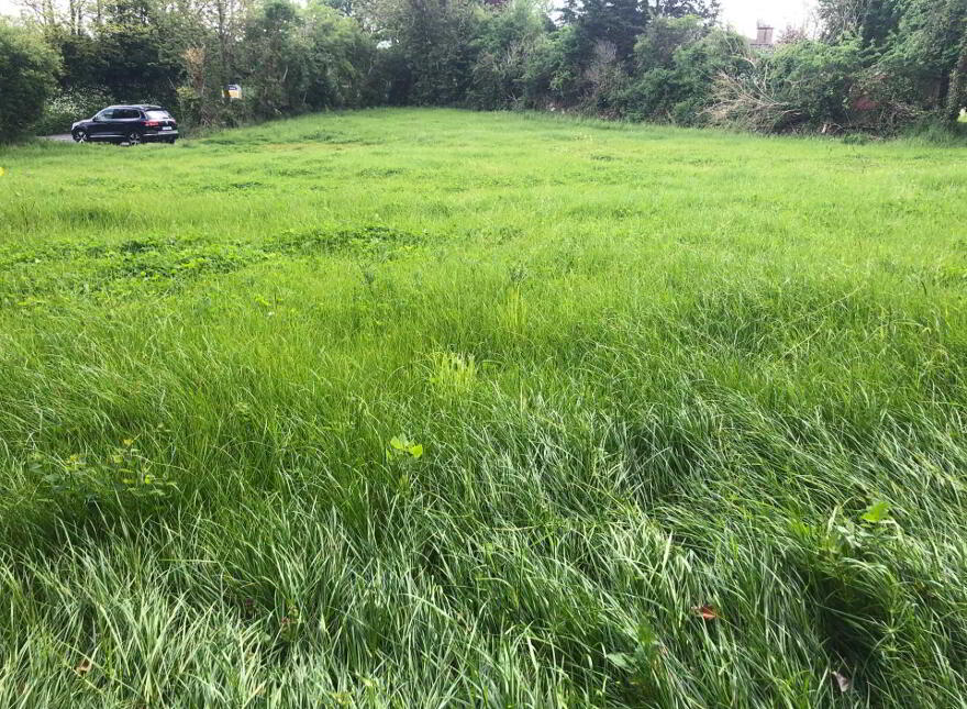 Lurriga, Patrickswell
