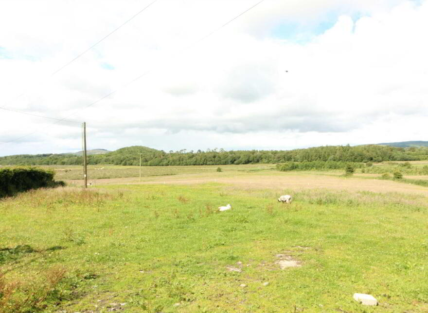 Residential Site, Tullymore, Brownhall, Balla photo