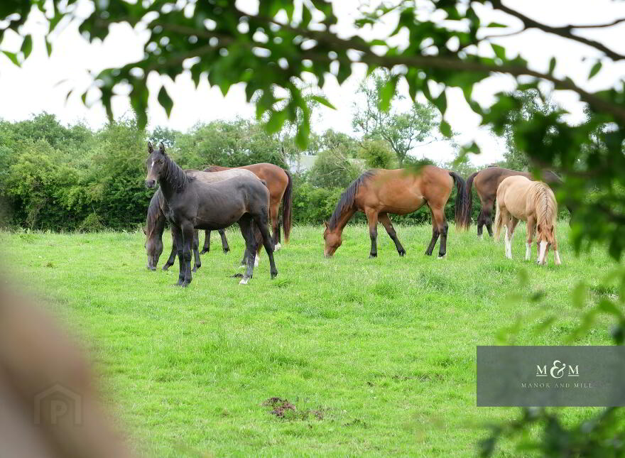 Creevy Otra Road, Armagh, BT60 3JP