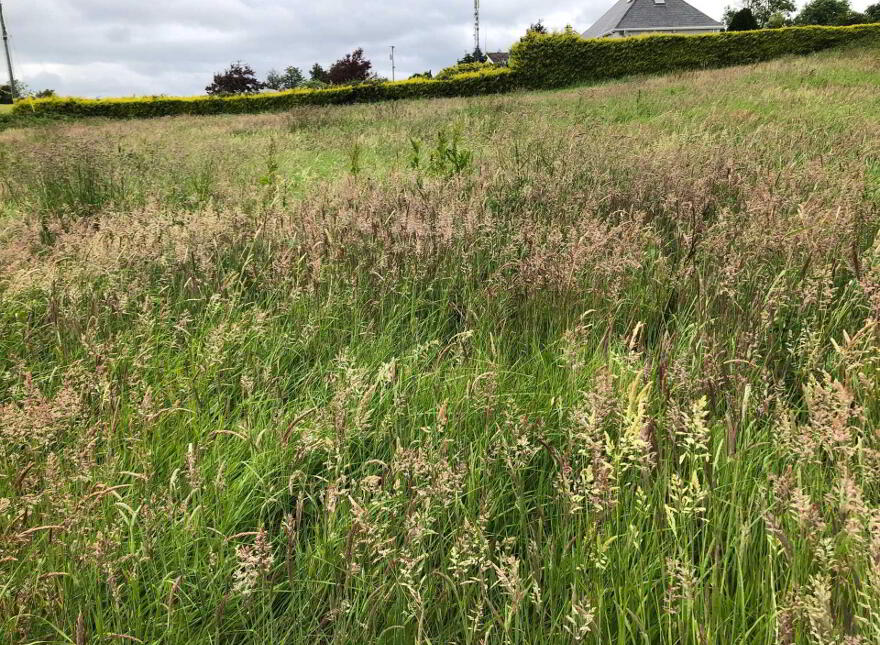Cathaganstown, Killenaule
