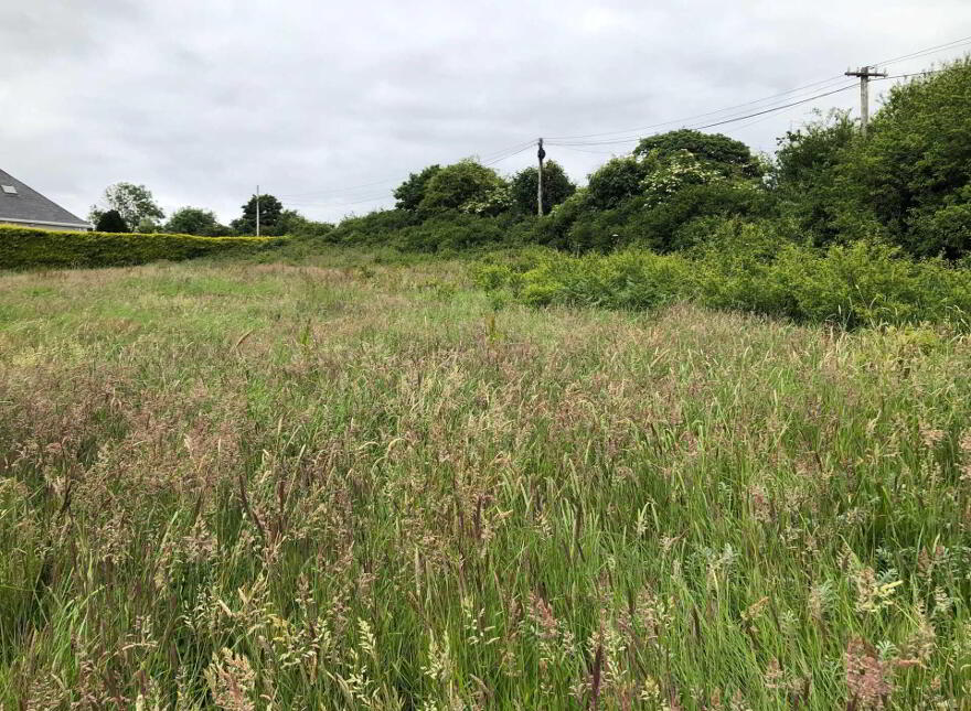 Cathaganstown, Killenaule