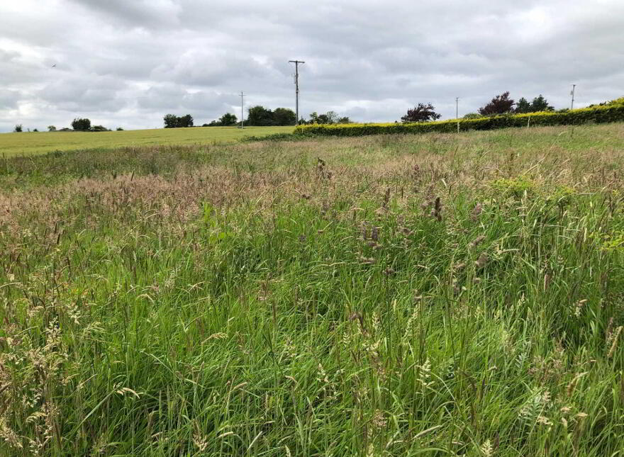 Cathaganstown, Killenaule
