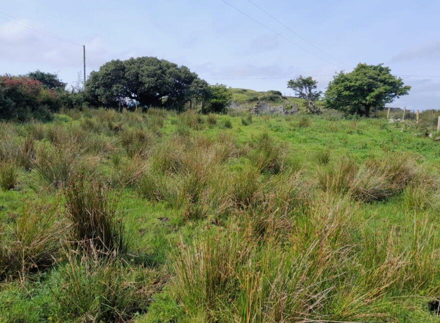 Banogue, Connemara, Letterfrack