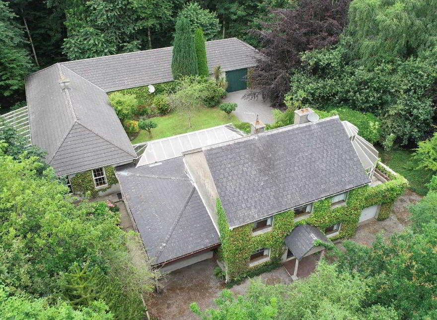Ashmere photo