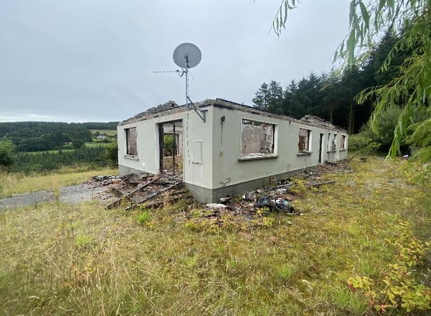 Lyranearla, Mountain Road, Clonmel