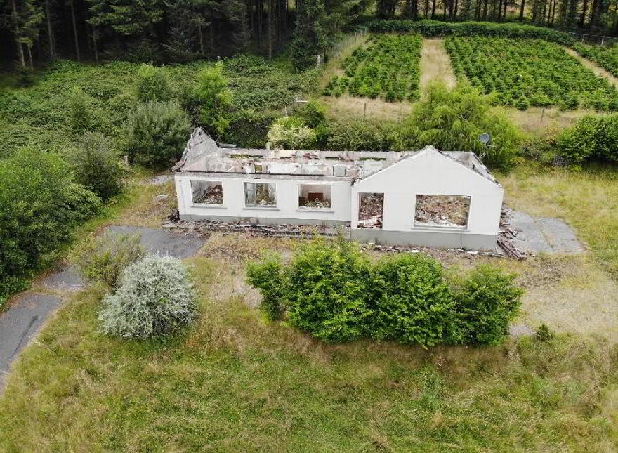 Lyranearla, Mountain Road, Clonmel