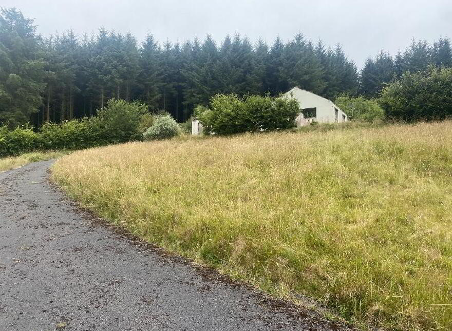 Lyranearla, Mountain Road, Clonmel