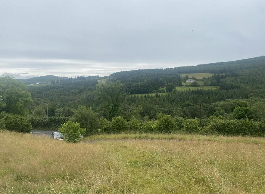 Lyranearla, Mountain Road, Clonmel