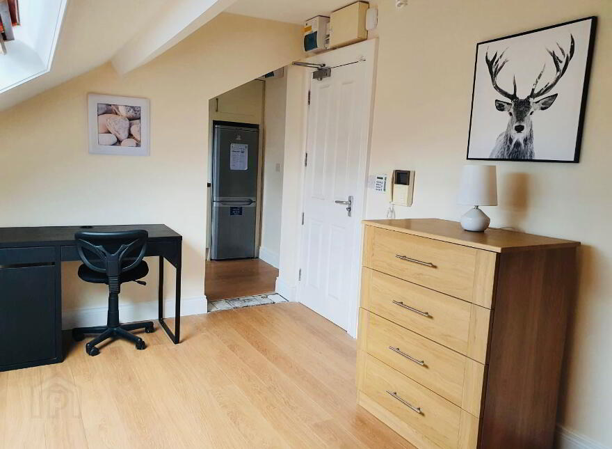 Lisburn Road, Loft Apt, Most Bills Included, Belfast, BT9 6BT