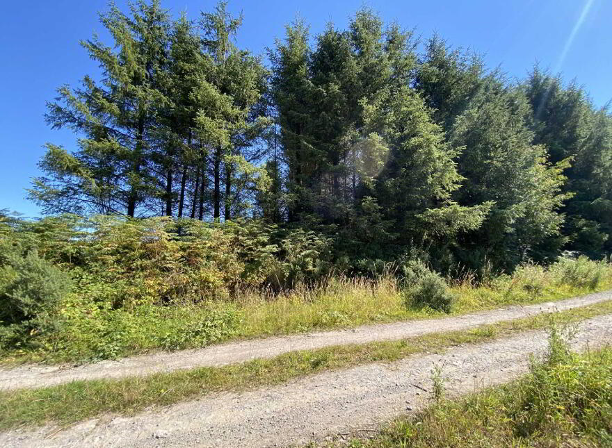 Site At, Rossmore, Knockperry, Newcastle