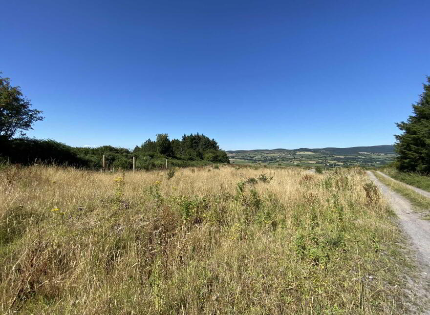 Site At, Rossmore, Knockperry, Newcastle