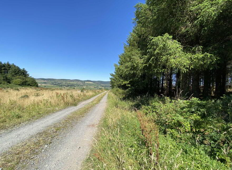 Site At, Rossmore, Knockperry, Newcastle