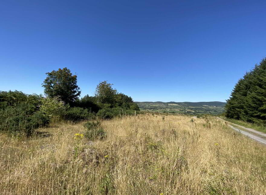 Site At, Rossmore, Knockperry, Newcastle