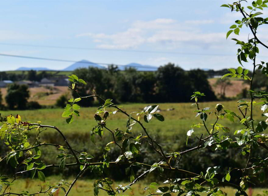 88 Killough Road, Downpatrick, BT30 8BJ