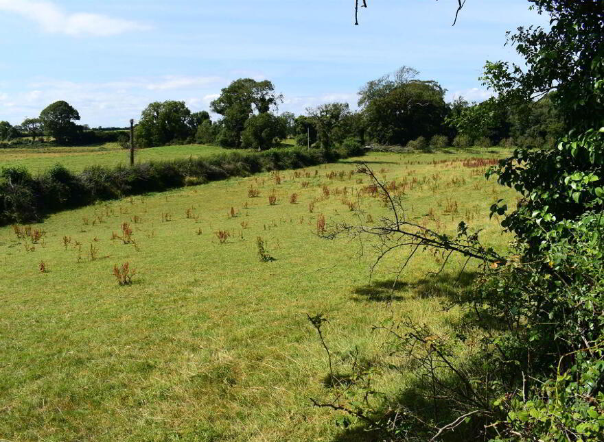 88 Killough Road, Downpatrick, BT30 8BJ