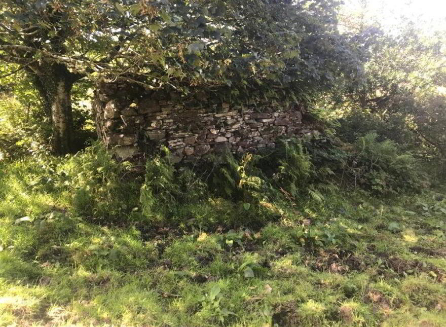 Circa 10.7 Acres Of Land, With Old Ruins, Located, Derreen, AT