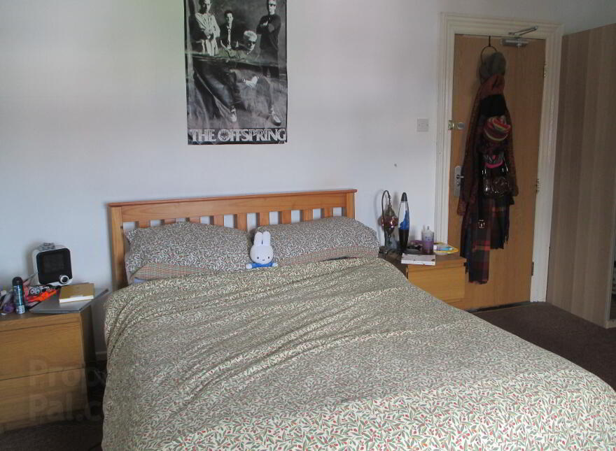 WOODSTOCK ROAD - Double Bedroom To Let, Shared House, Belfast, BT6 8PW photo