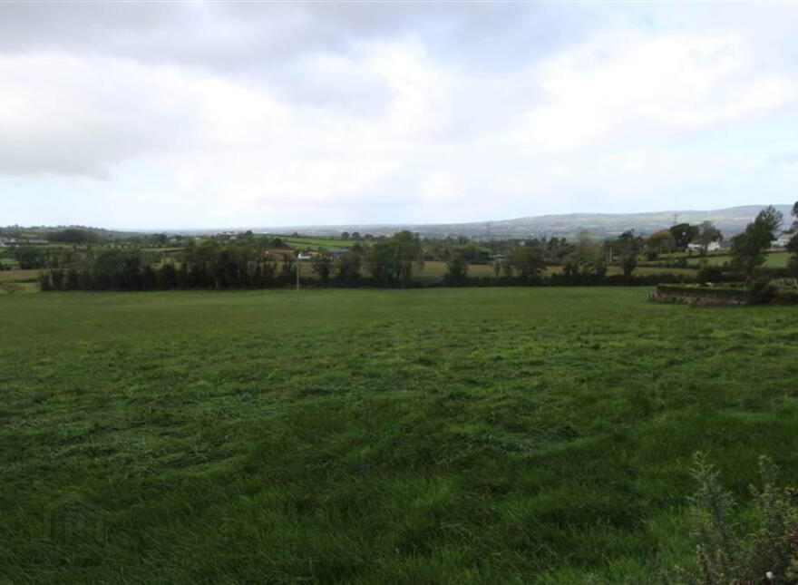 Land At, Back Road, Drumbo