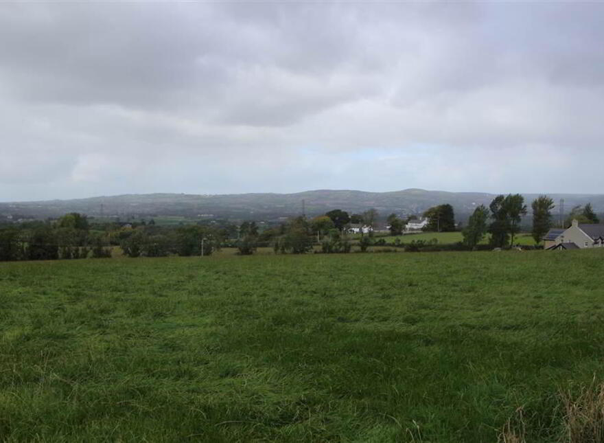 Land At, Back Road, Drumbo
