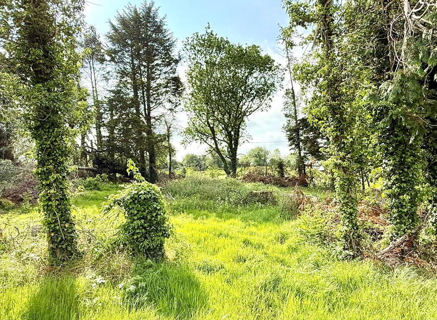 Building Site, Site Adjacent To, 17 Knock Road, Portadown, BT63 5NA
