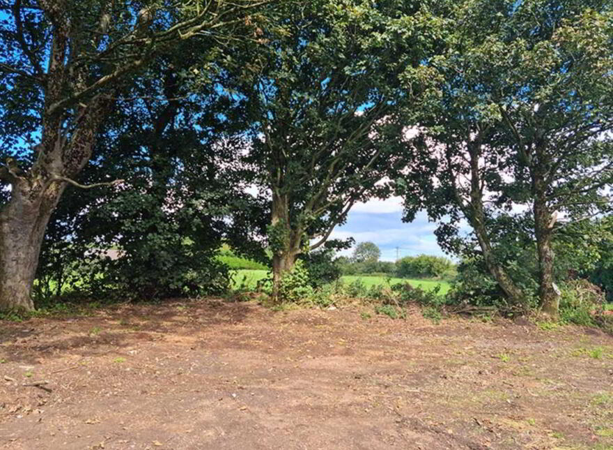 3, Sites At Islandarragh Road, Available As, A Package Or Indi, Ballycastle, BT54 6HX
