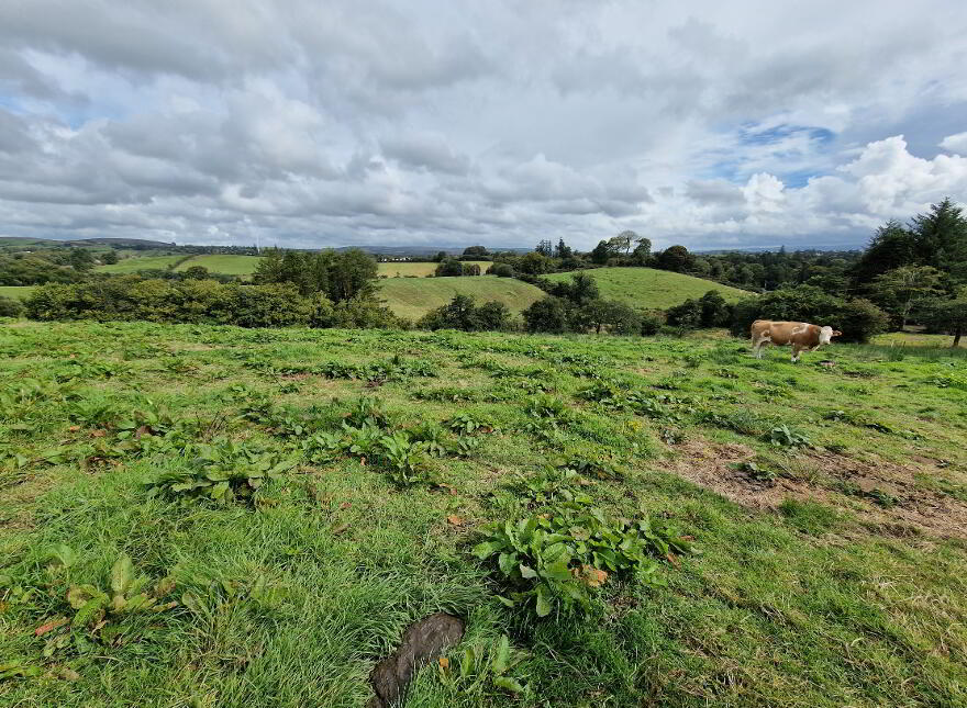 Development Land With OPP For 8 Dwellings, 28 Edenmore Lane, Opposite St...Tempo, BT94 3AU photo