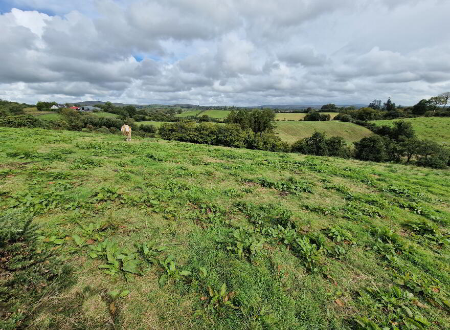 Development Land With OPP For 8 Dwellings, 28 Edenmore Lane, Opposite St...Tempo, BT94 3AU