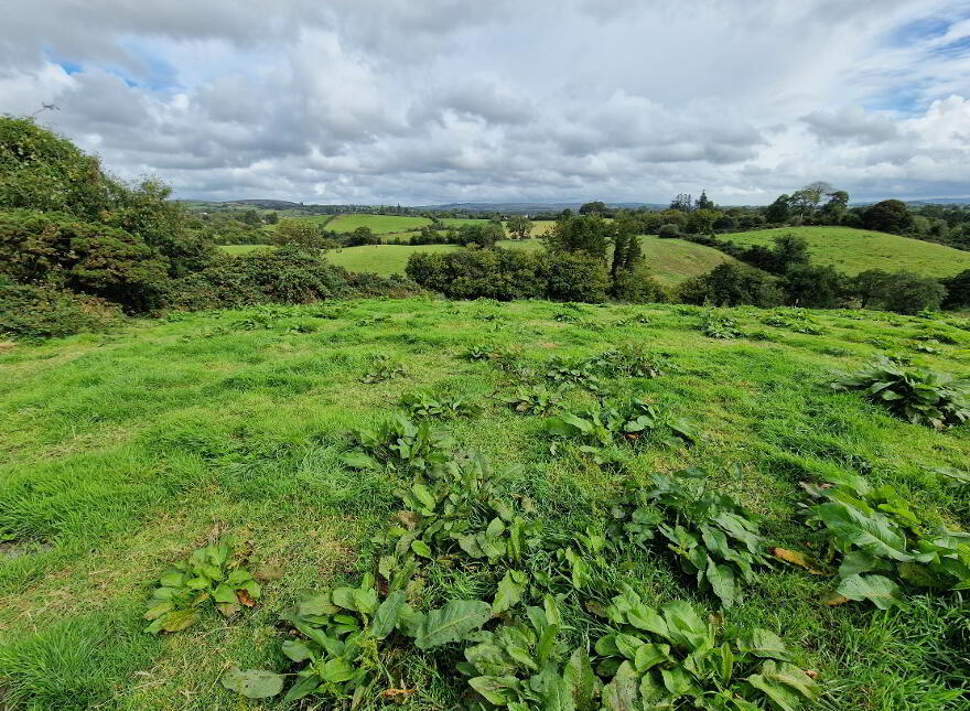 Development Land With OPP For 8 Dwellings, 28 Edenmore Lane, Opposite St...Tempo, BT94 3AU