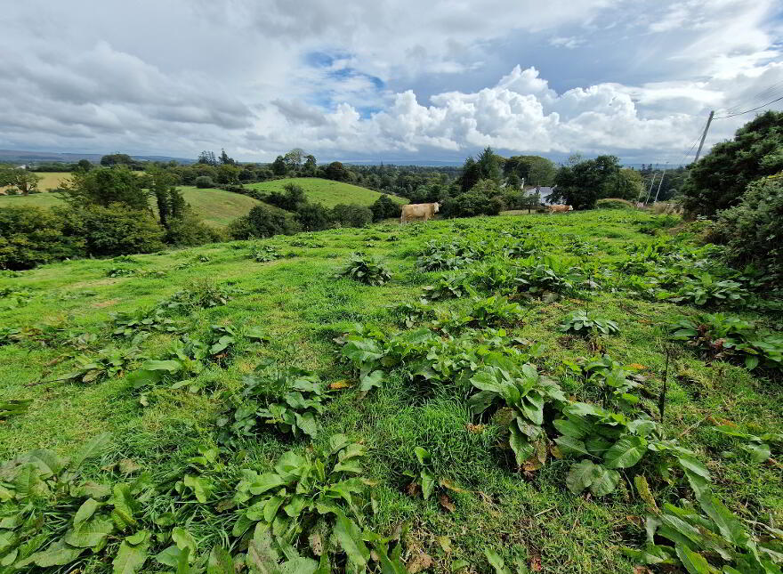 Development Land With OPP For 8 Dwellings, 28 Edenmore Lane, Opposite St...Tempo, BT94 3AU