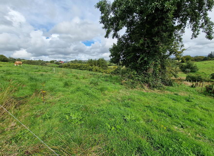 Development Land With OPP For 8 Dwellings, 28 Edenmore Lane, Opposite St...Tempo, BT94 3AU