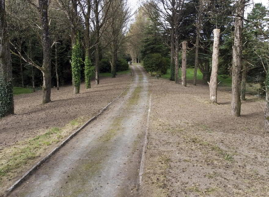 Taralodge House, 115 Downpatrick Road, Crossgar, BT30 9EH