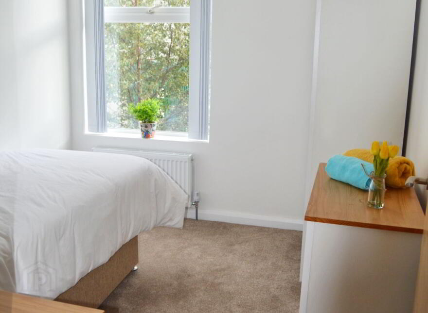 Unit 5, 66 Southwell Rd, Bangor, BT20 3AE