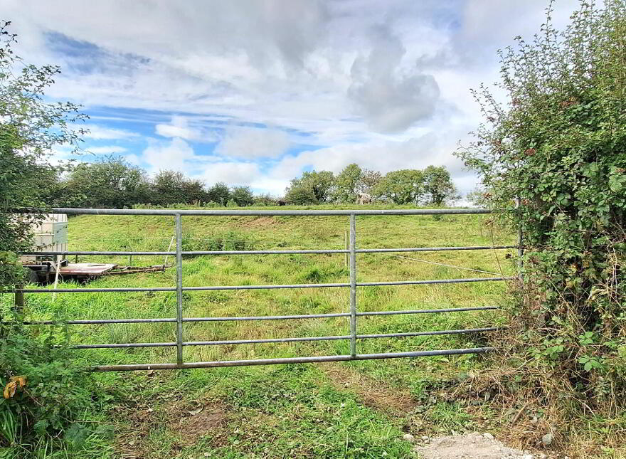 Lowerwood, Castledaly, Moate photo