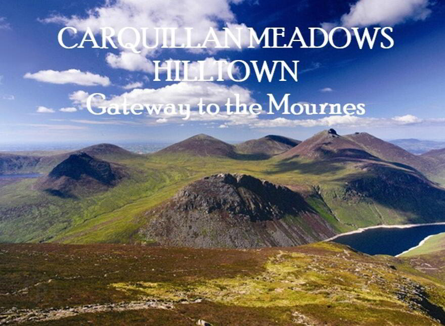 Property For Sale in Hilltown PropertyPal