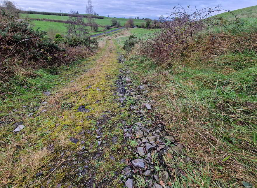 Building Site, Cavanaghlough Glebe, Coa Road, Ballinamallard, BT94 2BN