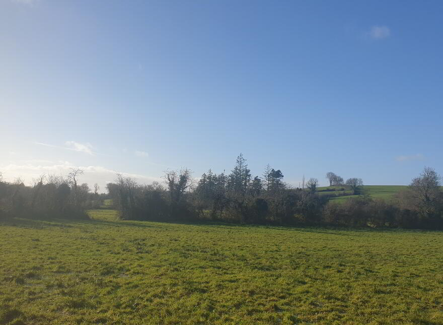 Longfield, Stradone