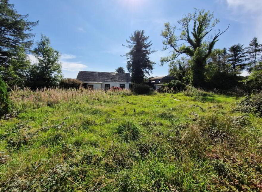 Carrowmore, Killasser, Swinford, F12A722