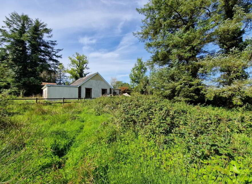 Carrowmore, Killasser, Swinford, F12A722