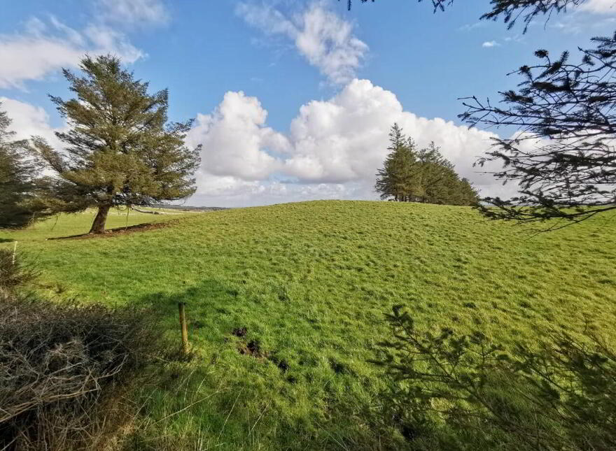 Killasser, Swinford