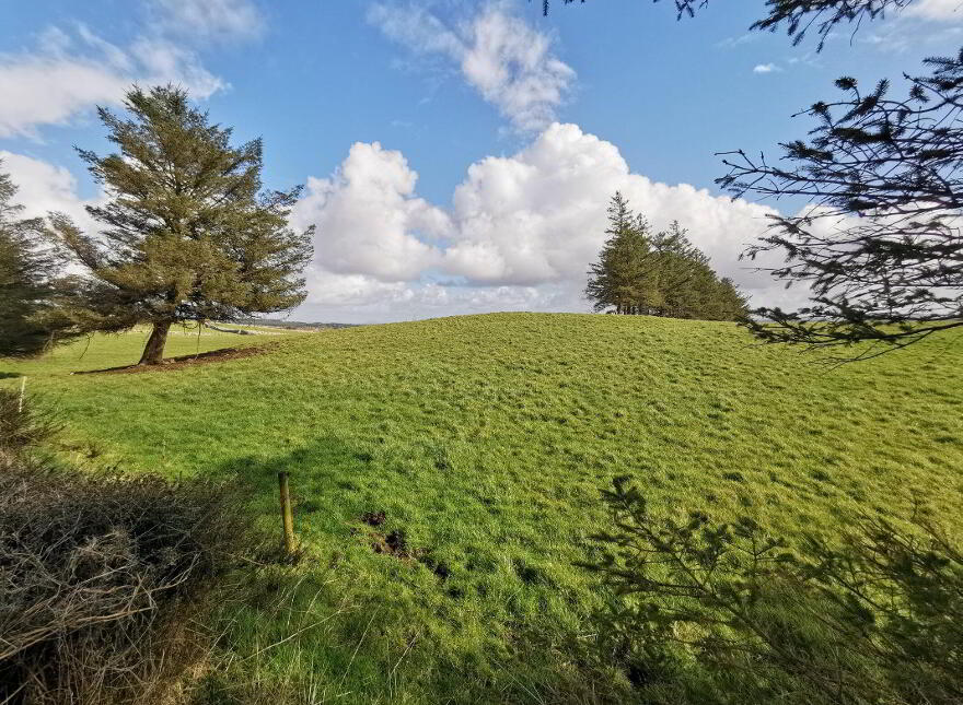 Killasser, Swinford