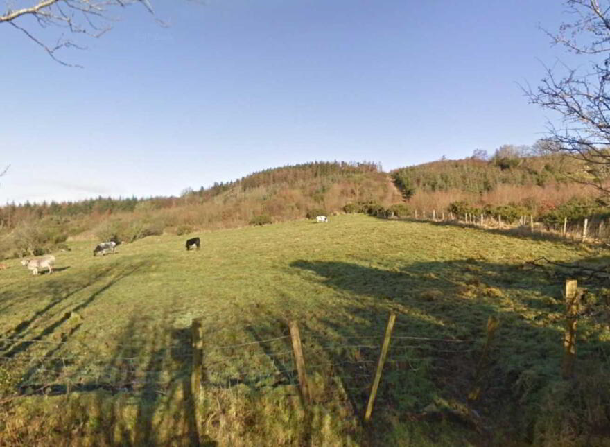 Site At, Legnahoory, Kilmacrennan photo