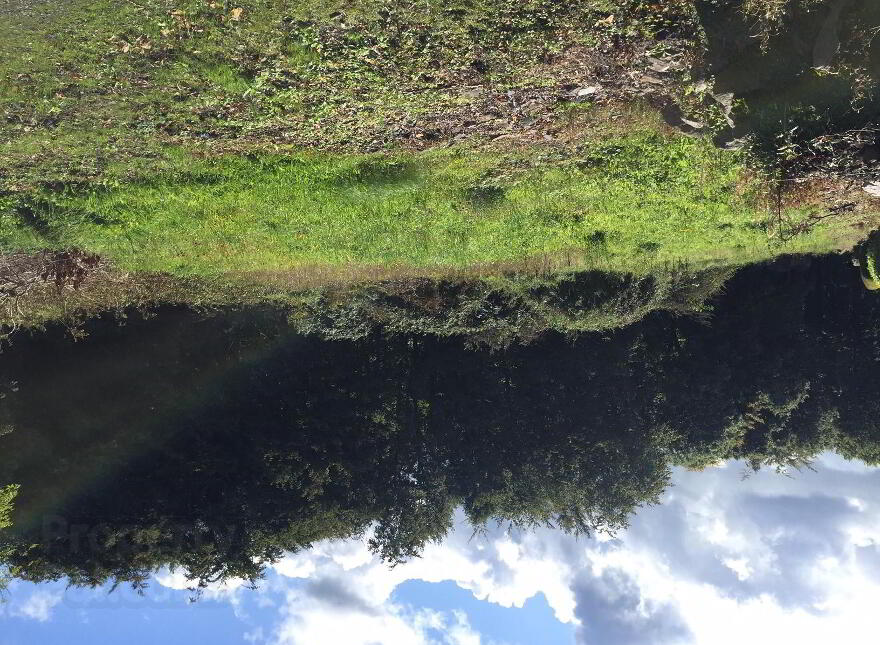 Kilcullen Cross, Inistioge photo