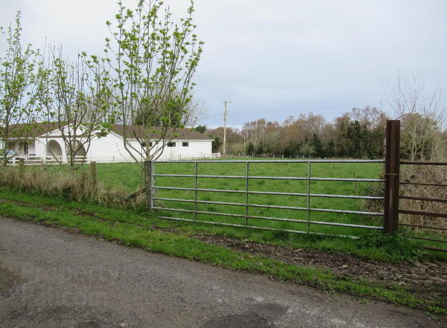 Burnetts Wood, Killeigh photo
