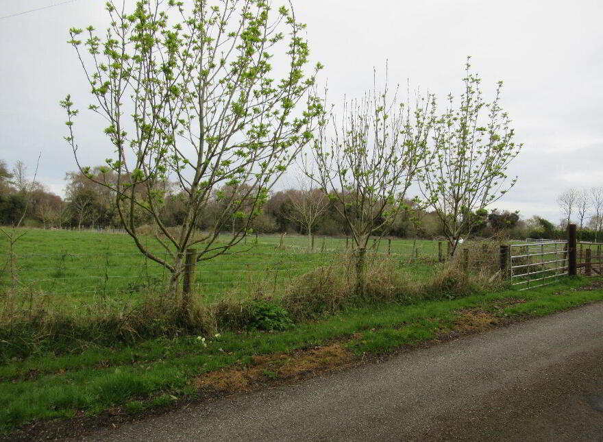 Burnetts Wood, Killeigh