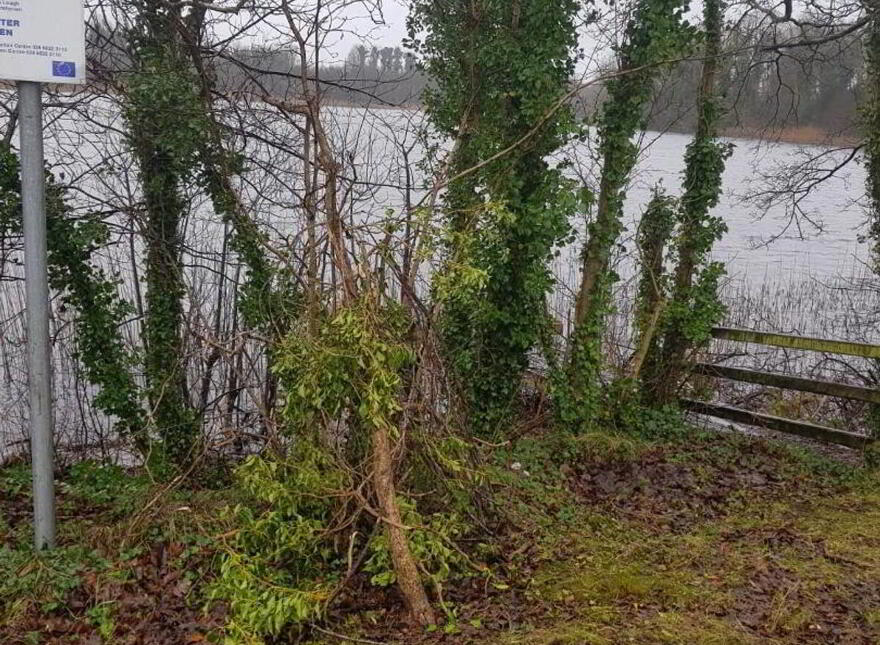 Cromaghy, Roslea, Enniskillen, BT92 7FS